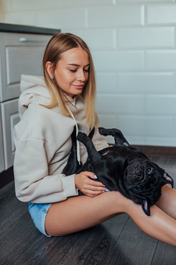 Young woman sitting indoors with her playful French bulldog, enjoying a calm moment.